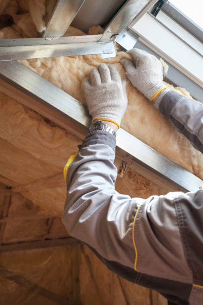 Best Cellulose Insulation in North Haledon, NJ